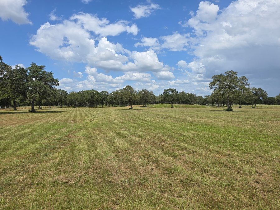 After: mow lines running across the oak studded pasture beside the runway